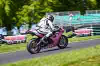 cadwell-no-limits-trackday;cadwell-park;cadwell-park-photographs;cadwell-trackday-photographs;enduro-digital-images;event-digital-images;eventdigitalimages;no-limits-trackdays;peter-wileman-photography;racing-digital-images;trackday-digital-images;trackday-photos